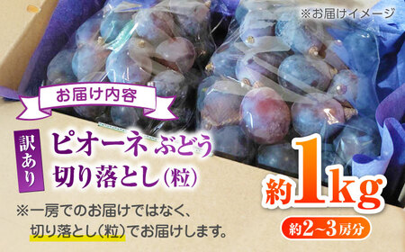 【先行予約】 訳あり ピオーネ ぶどう 切り落とし 約1kg  【合同会社 社方園】ピオーネ切り落とし 1kg ぶどう 季節限定 葡萄 [ZBZ007]