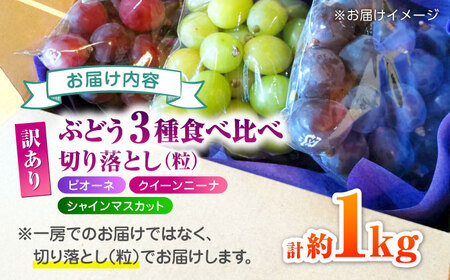 【先行予約】 訳あり ぶどう3種 食べ比べ 切り落とし 計約1kg  【合同会社 社方園】ぶどう詰め合わせ  セット 熊本 シャインマスカット ピオーネ クイーンニーナ [ZBZ009]
