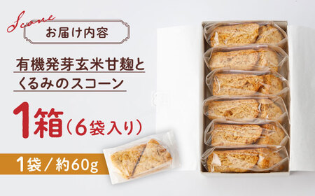 有機発芽玄米甘麹とくるみのスコーン【BANBA BON BONS】山鹿 スコーン クルミ 発芽玄米 スイーツ[ZDW001]