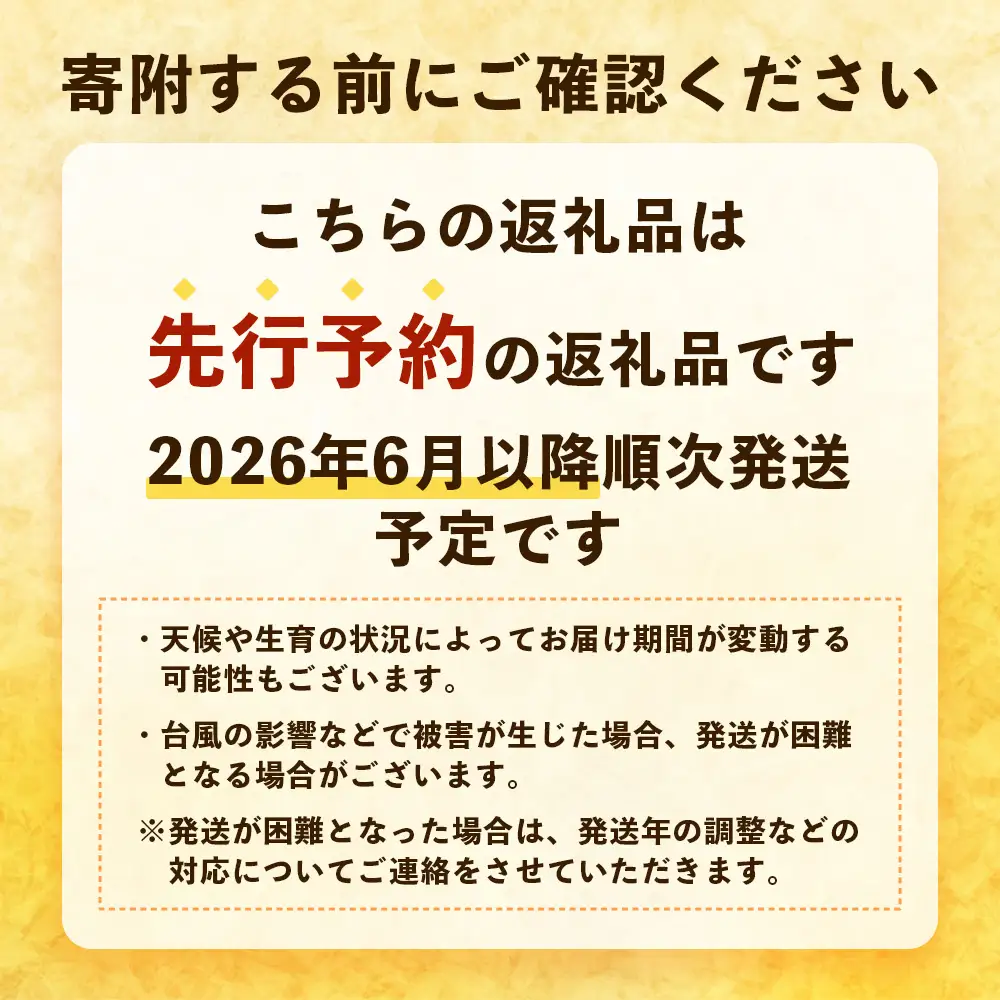 【先行予約・数量限定！】国産パイナップル　約3ｋg（3～5玉）～なか農園おまかせセット～ NK-001 ｜パイナップル パイン フルーツ 果物 くだもの 先行予約 数量限定 産地直送 新鮮 旬 ハワイ種 ピーチパイン ゴールドダイヤモンド ボゴール なか農園 鹿児島県 南大隅 