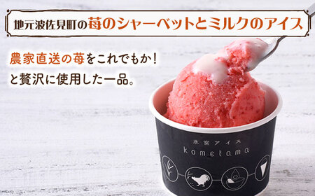 【こだわり濃厚米卵と地元特産フルーツ使用！】こめたまバラエティセット３種９個入り デザート スイーツ お菓子 アイス ギフト  【氷窯アイス こめたま】[GF02]