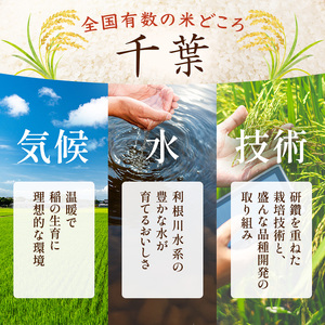 最短出荷 2日から7日以内に発送 コシヒカリ 乾式無洗米 10kg（5kg×2）令和7年産 お米 精米 ご飯 美味しい 粘り つやつや 甘み 