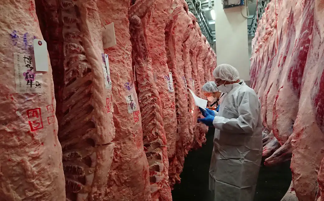 博多和牛100％ 贅沢本格手ごねハンバーグ 150g×10個 合計1.5kg  博多和牛 牛 肉 ハンバーグ 福岡県 苅田町