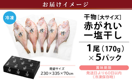  干物 セット 赤がれい 一塩干し 大サイズ （1尾 × 5パック入り）1尾約170g【福井県産 赤カレイ 小分け 個包装 詰め合わせ 保存料・着色料 無添加】 [e04-a092]