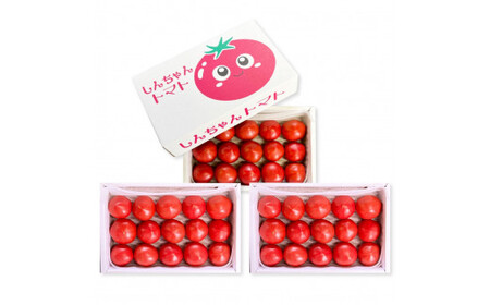 【先行予約】糖度9度以上 フルーツトマト しんちゃんトマト 約2.25kg (小～大玉サイズ　10～20個：750g×3箱) 〈2027年2月〜発送〉トマト 高糖度 高知県産 ふるーつとまと 野菜 やさい 料理 サラダ マリネ 甘味 酸味 食品 食べ物 リコピン おいしい お取り寄せ【しんちゃんトマト】[BQCG004]