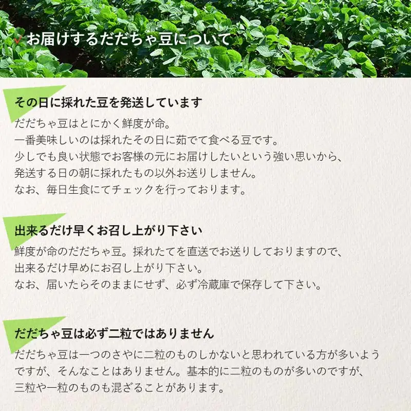 【令和8年産先行予約】 だだちゃ豆 品種おまかせ 1.5kg（500g×3袋） 山形県鶴岡市産 鶴岡中央青果　| 枝豆 えだまめ豆 豆 マメ 豆類 おつまみ つまみ 酒 ビール 1.5キロ 野菜 国産 旬 人気 おいしい 送料無料 期間限定 数量限定 2026年産 お取り寄せ 返礼品