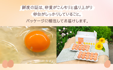 小久保ファーム　濃厚卵黄　産みたてたまご　赤玉30個入り（M玉） _EI01