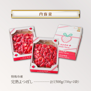 旬のおいしさそのまま！池田農園の特殊冷凍よつぼし1.5kg_いちご 特殊冷凍 よつぼし 1.5kg 750g × 2 旬 美味しい 完熟 甘い 濃厚 アートロックフリーザー サクサク 食感 栄養 池田農園 フルーツ スムージー おやつ スイーツ 冷凍 お取り寄せ お取り寄せフルーツ 食べ物 福岡県 久留米市 送料無料 〔Fi212〕