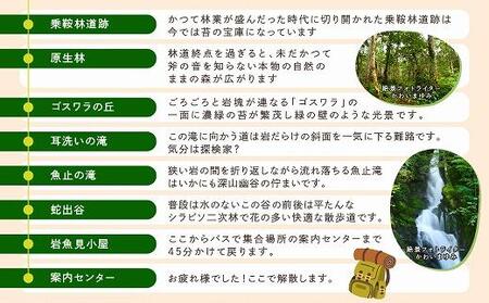 2025・26年度シーズン 乗鞍山麓 秘境「五色ヶ原の森」トレッキング  ロングコース「ゴスワラコース（所要8時間）」大人2名分 | 観光 森 自然 ガイド 案内 ツアー トレッキング 飛騨高山 乗鞍山麓五色ヶ原の森 MK003