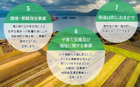 洞爺湖町 寄附のみの応援受付 3,000円コース（返礼品なし 寄附のみ 3000円） 支援 自治体支援 お礼の品なし 北海道 洞爺湖町の発展 ふるさと応援 ふるさと支援 