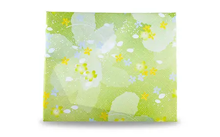 八女茶贅沢2本セット（100g×2袋） 131-002