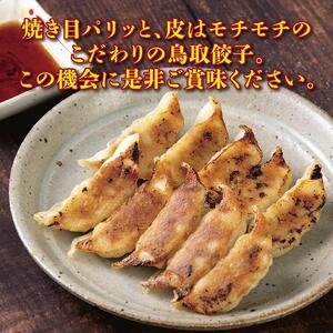 鳥取餃子 鳥取県産ブランド豚使用 60個セット (30個入り×2パック)
