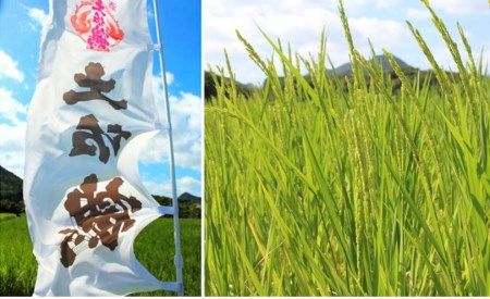 【グランプリ受賞】「吟醸酒 azure （アジュール）」土佐鶴 （720ml×2本）19-48