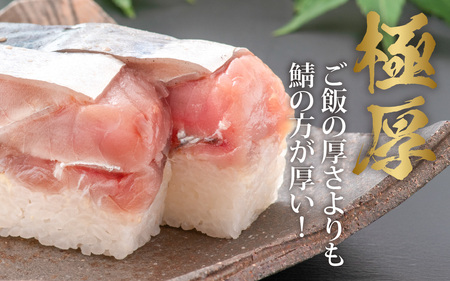 極厚！福井の生さば寿司 贅沢な 鯖寿司 をご自宅で [A-013010] 