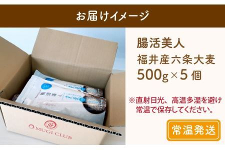 腸活美人 福井産六条大麦もち麦 5個セット [A-034003] 
