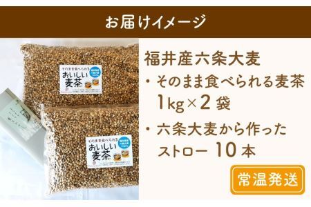 福井産六条大麦そのまま食べられる麦茶とおおむぎママの麦ストローR★環境配慮商品★ [A-034002] 