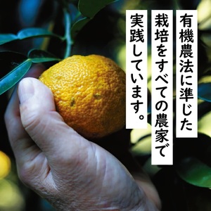 [具入りゆずすしの素　2合分×4個セット]  寿司の素 ちらし寿司 混ぜご飯