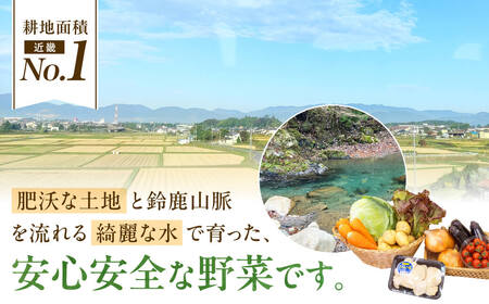 東近江市産 野菜セット JAグリーン近江 滋賀県 東近江市 A14 新鮮 旬 詰め合わせ 産地直送 有機野菜 厳選 お取り寄せ