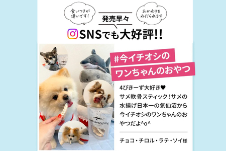 UMINO PET サメ軟骨スティック 40g×5個 [石渡商店 宮城県 気仙沼市 20563958]