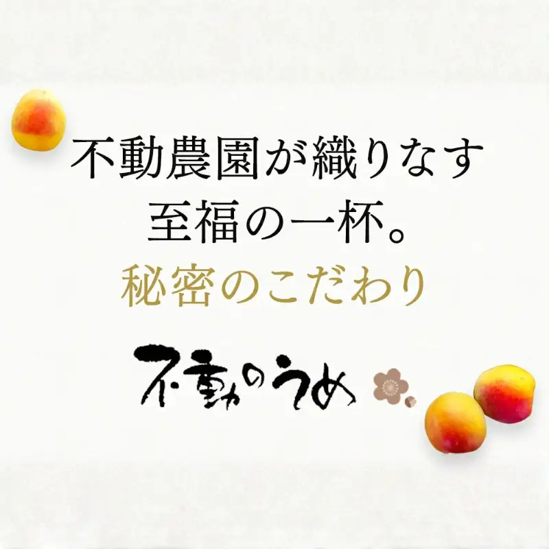 梅酒 完熟梅酒「上芳養」1本 / 和歌山県 和歌山県産 不動農園 上芳養 田辺市 南高梅 紀州南高梅 完熟梅 梅酒 お酒 無添加梅酒 無添加 ロック 水割り 宅飲み 家飲み【hdu005-2】