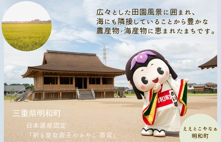簡単 時短 おすすめ 総菜 定期便 （全４回） 肉 牛 牛肉 和牛 ブランド牛 高級 国産 霜降り 冷凍 ふるさと 人気 簡単 時短 らくちん 松阪牛 コロッケ ミートソース 丼 ハンバーグ 焼くだけ ひじき ひじきごはん 混ぜご飯 混ぜるだけ セット 