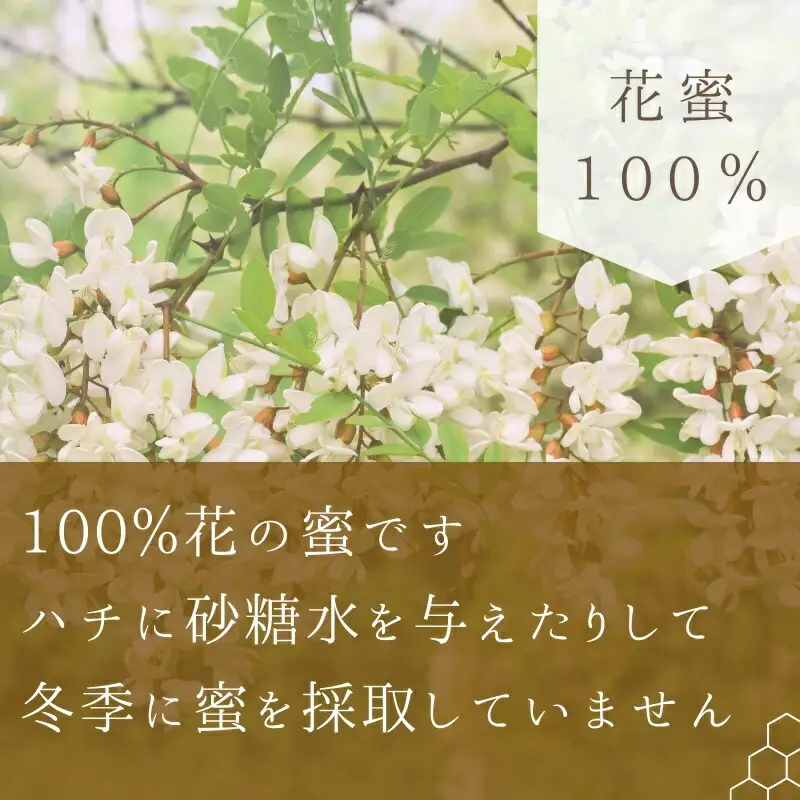 北海道余市町産　無添加はちみつ　秋の百花(滝下養蜂園)　180g［ふるさとクリエイト］ 天然 国産 瓶詰め ホットケーキ 栗の花 シナ ハチミツ 蜂蜜 ハニー 贈り物 お取り寄せ 余市町 _Y067-0053