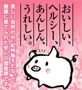 大西の梅餃子　25個入り / 和歌山県 田辺市 ぎょうざ ギョウザ ギョーザ 手作り 紀州南高梅 南高梅 宝梅使用 紀州うめぶた にんにく不使用 無添加 冷凍【gyz001-1】