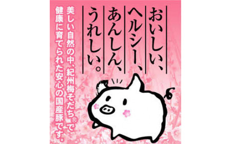 大西の餃子2種セット　50個(にんにく餃子・梅餃子　25個入り×各1パック） / 和歌山県 田辺市 ぎょうざ ギョウザ ギョーザ にんにく不使用 手作り 紀州うめぶた 紀州南高梅 南高梅 宝梅使用 無添加 冷凍【gyz005-2】