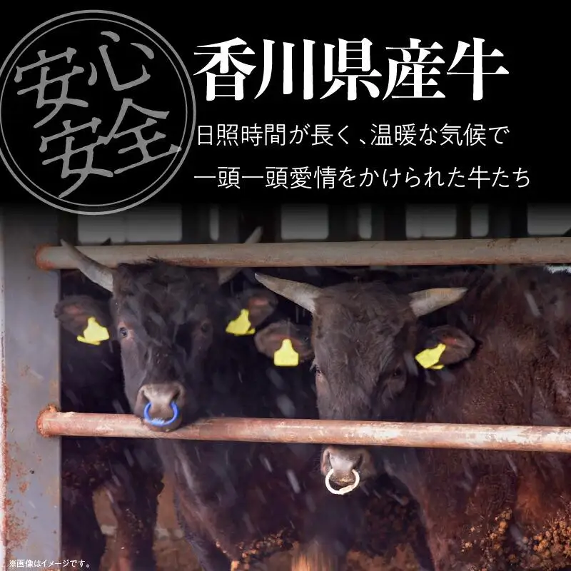 香川県産牛ローストビーフ