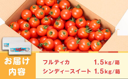 ミディアムトマト 3kg（1.5kg×2箱）《壱岐市》【ISLAND FARM】[JFL002]