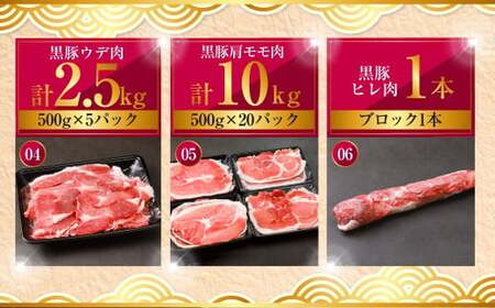 KSR-309 【隔月5回定期便】かごしま黒豚半頭 合計約22.5kg