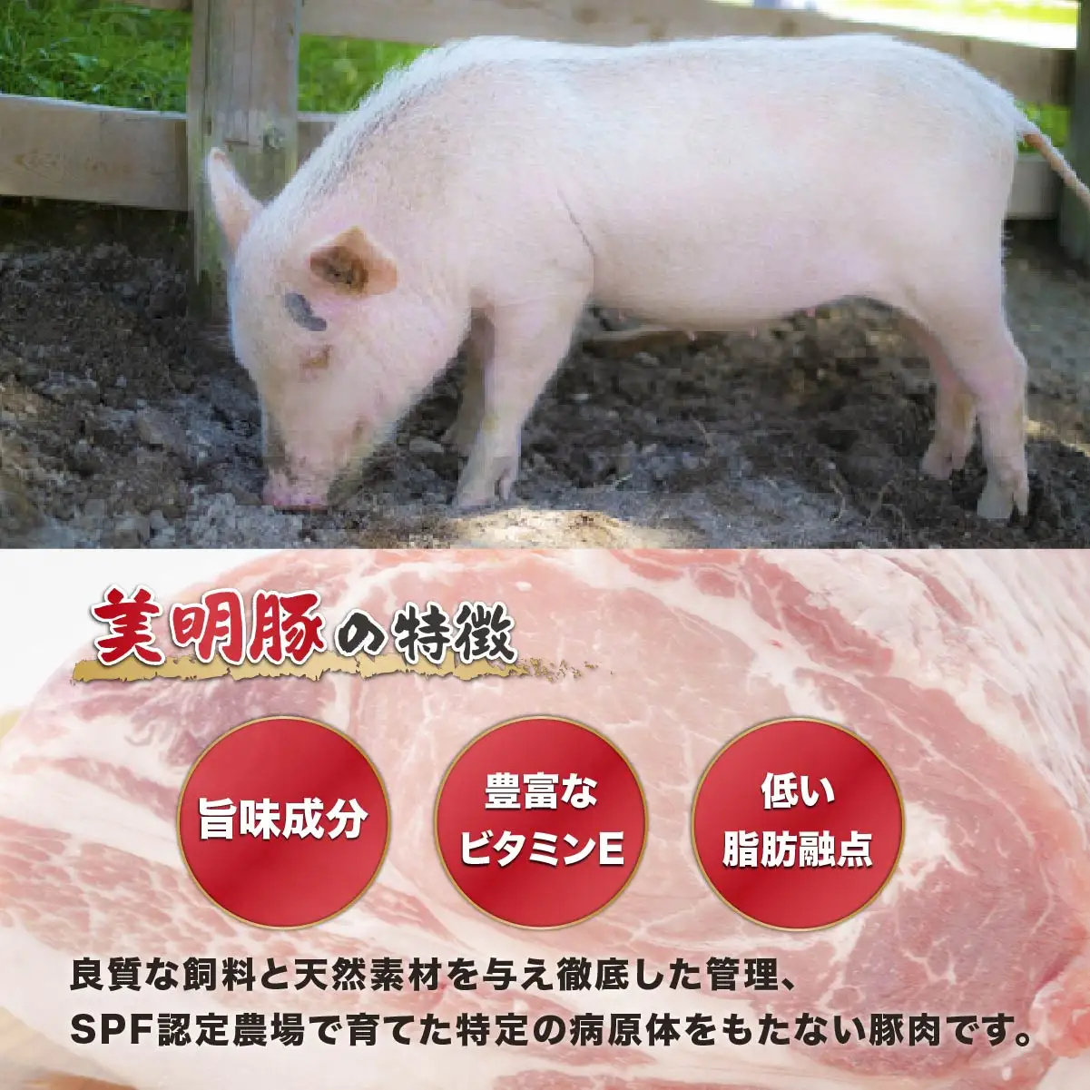 美明豚(びめいとん)ローススライス すき焼き用400g+焼肉用500g・茨城県共通返礼品・行方市産_肉 すき焼き 豚肉 すきやき スキヤキ  肉 焼肉 豚肉 やきにく ヤキニク バーベキュー_【配送不可地域：離島】【1419707】