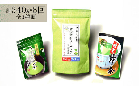 【全6回定期便】福岡銘茶 八女茶 ティーバッグ付 急須要らずのお手軽セット（便利なチャック付） [ABCJ127] 