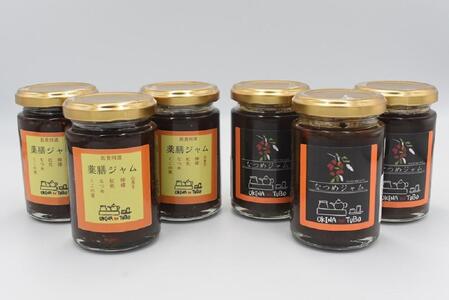 横浜青葉壺中天なつめジャム3本・薬膳ジャム3本 ABB0001