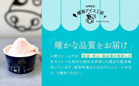 直営牧場搾りたてミルクで作るジェラート（５種 計10個）〈小野ファーム〉 ABN0001