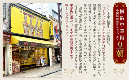 横浜中華街 中国料理世界チャンピオン皇朝 中華点心詰合せC（7種61個
