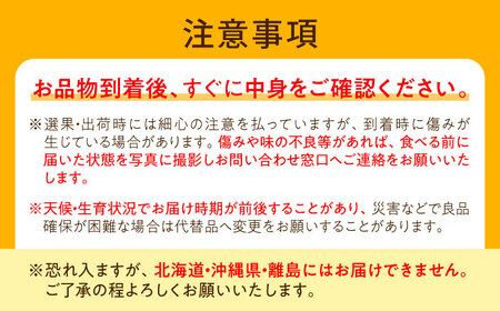 上岡果樹園のかおり梨 4-6玉入り BKAD056