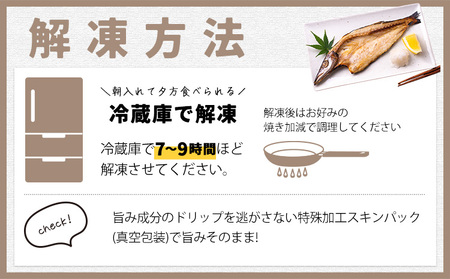 特選干物セット 8-10種16枚 干物
