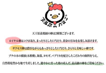 【天王原のたまご】ロイヤル卵30個入り