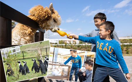 ソレイユの丘 回数券 400円分×24枚【株式会社日比谷花壇】 [AKBO002]