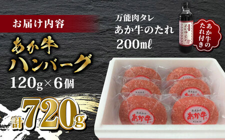 あか牛 100％ハンバーグ セット 120g×6個【有限会社 三協畜産】 国産 赤身 赤牛 褐牛 あかうし 褐毛和種   [ZEB003]