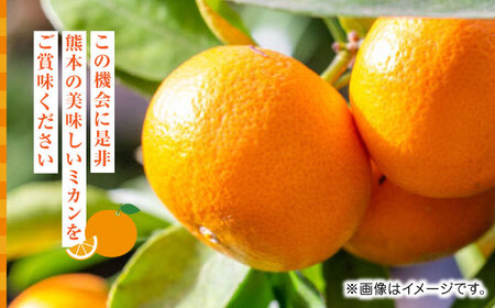 【先行予約】温州みかん約7kg　2S〜2Lサイズ　【くまふる】[ZBG050]