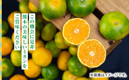 【先行予約】極早生みかん 約7kg　2S〜2Lサイズ　【くまふる】[ZBG055]