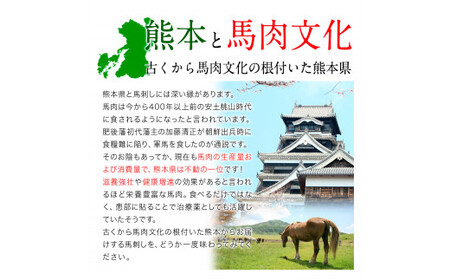 馬肉8種セット 計2200g 馬刺し
