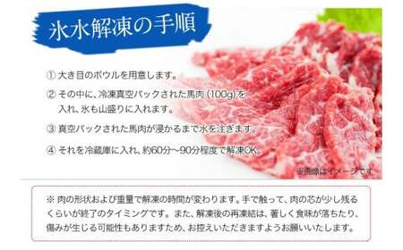 馬刺し 上赤身 ブロック 100g×15 馬刺し《7-14日以内に出荷予定(土日祝除く)》