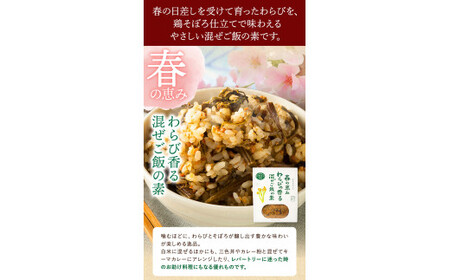 炊き込みご飯の素 混ぜご飯の素セット 各250g×2個 有限会社 やまえ堂 《30日以内に出荷予定(土日祝除く)》山の幸 たけのこ 竹の子 筍 しいたけ きくらげ わらび 炊き込みご飯 混ぜ込みご飯 送料無料