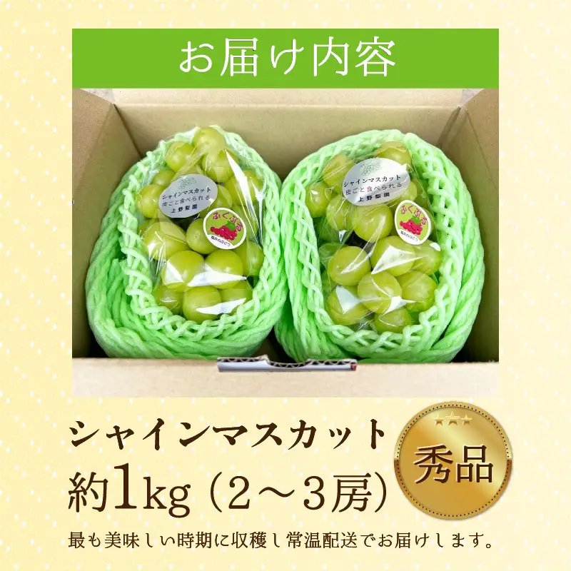 【先行予約】【種なし】【朝採れ】【秀品】上野梨園のシャインマスカット 農園直送【上野の葡萄】 / ぶどう フルーツ 果物 くだもの 贈答 お土産 種なし 旬 皮ごと食べる 　美容 ぶどう狩り 巨峰に負けない 爽やかな甘さ 大粒 新鮮 朝採れ 厳選※2026年9月上旬より順次発送 [aw077-a011]