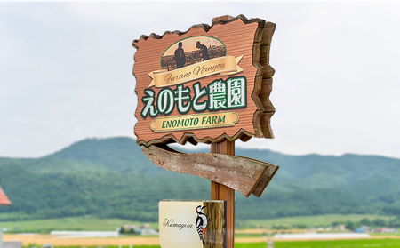 【2026年夏発送】北海道 富良野産 赤肉メロン 5玉 計7.5kg以上 ふらの メロン ギフト 果物 赤玉 (榎本農園) メロン フルーツ 果物 新鮮 甘い 贈り物 ギフト 道産 ジューシー おやつ ふらの ブランド 夏 