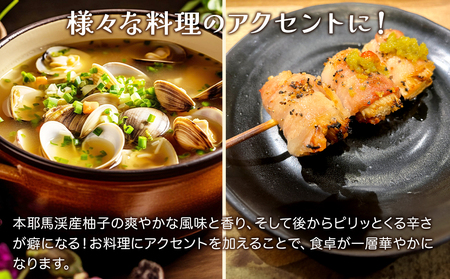 香る大分のゆずごしょう 青/赤/激辛 3本セット | 柚子 胡椒 柚子胡椒 柚子こしょう 柚子コショウ ゆずこしょう 調味料 辛味 セット 大分県産 九州産 中津市 国産