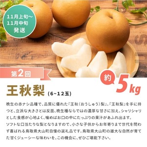 DS-23 梨食べ比べ定期便（2回コース）